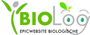 biologische-webshop-laten-maken-big-logo